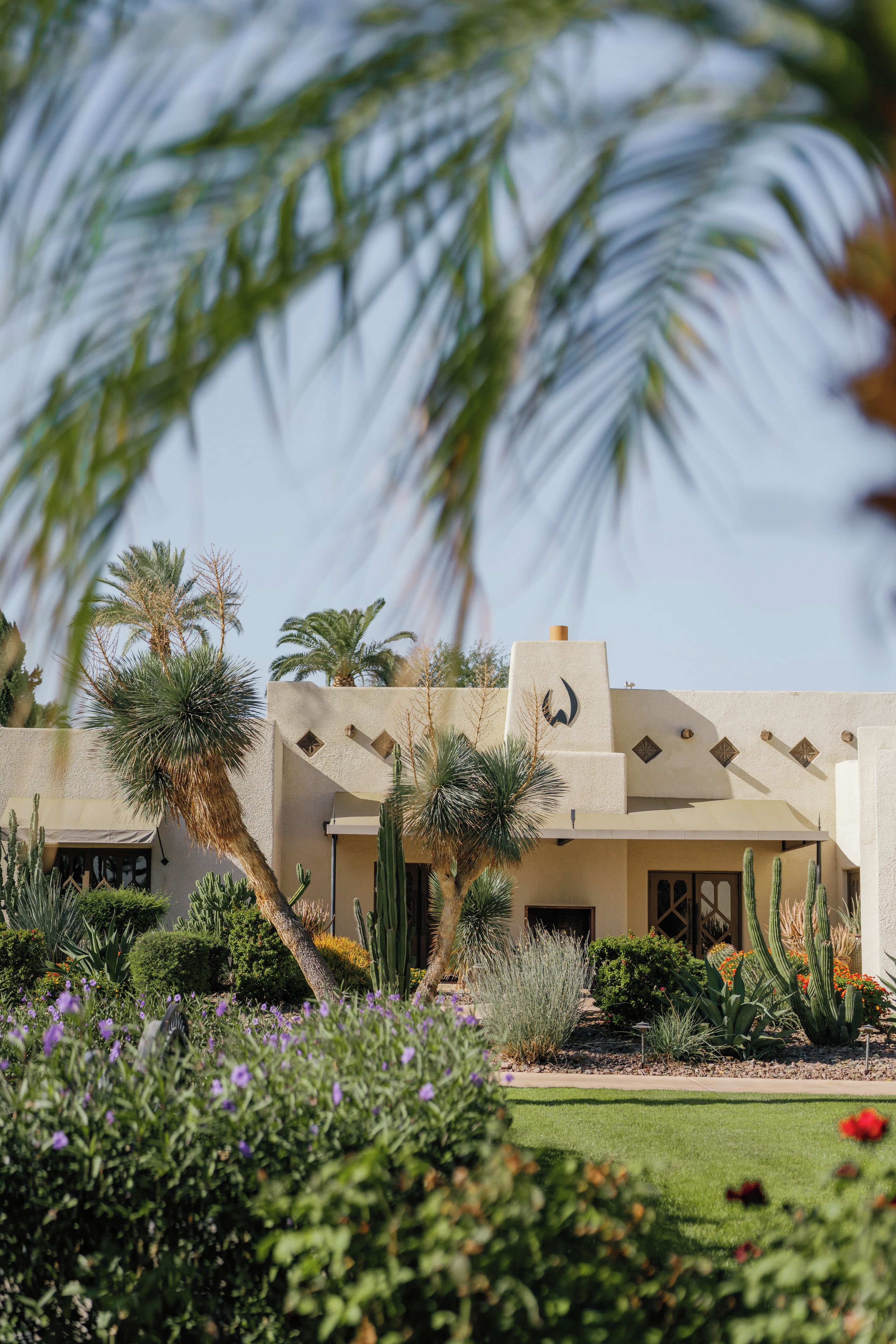 A desert-style building with a flat roof, surrounded by cacti and desert plants.