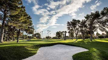 Enjoy a round of golf amidst lush greenery and scenic views.