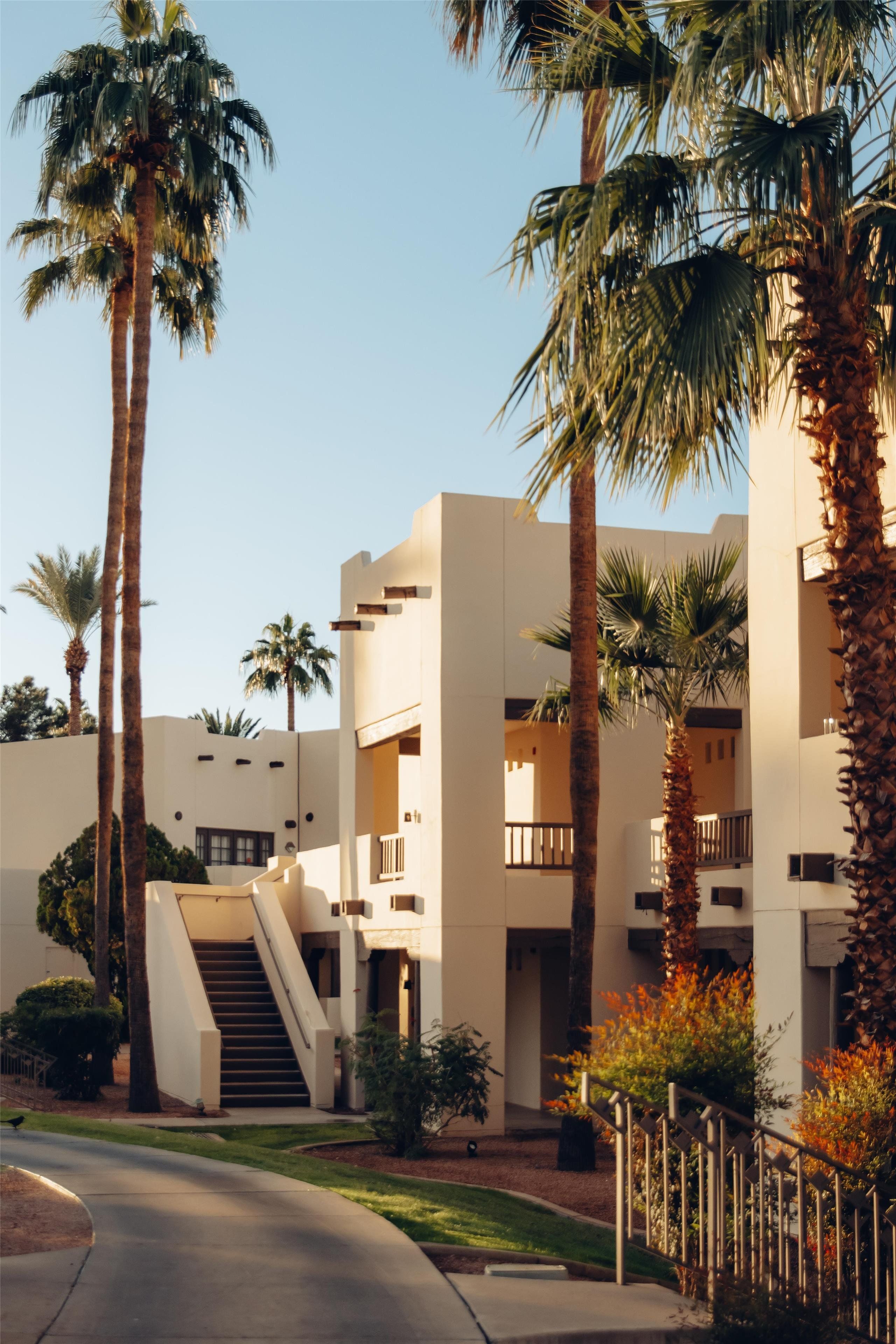 A modern building with a central staircase, surrounded by palm trees and a well-maintained lawn.