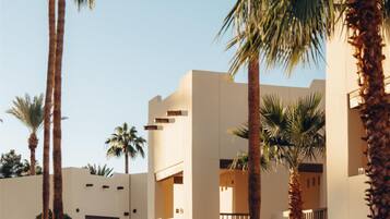 A modern building with a central staircase, surrounded by palm trees and a well-maintained lawn.