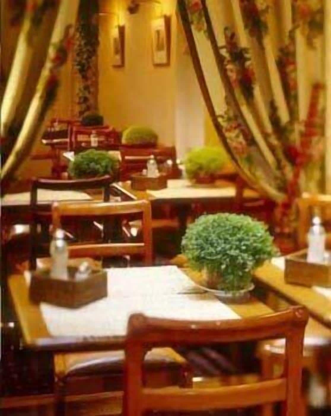 A restaurant interior with wooden tables and chairs, potted plants, and warm lighting.