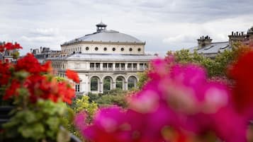 Uitzicht vanuit accommodatie