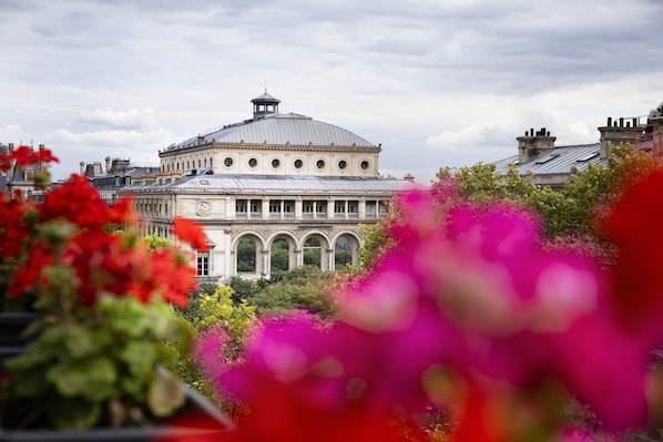 Uitzicht vanuit accommodatie