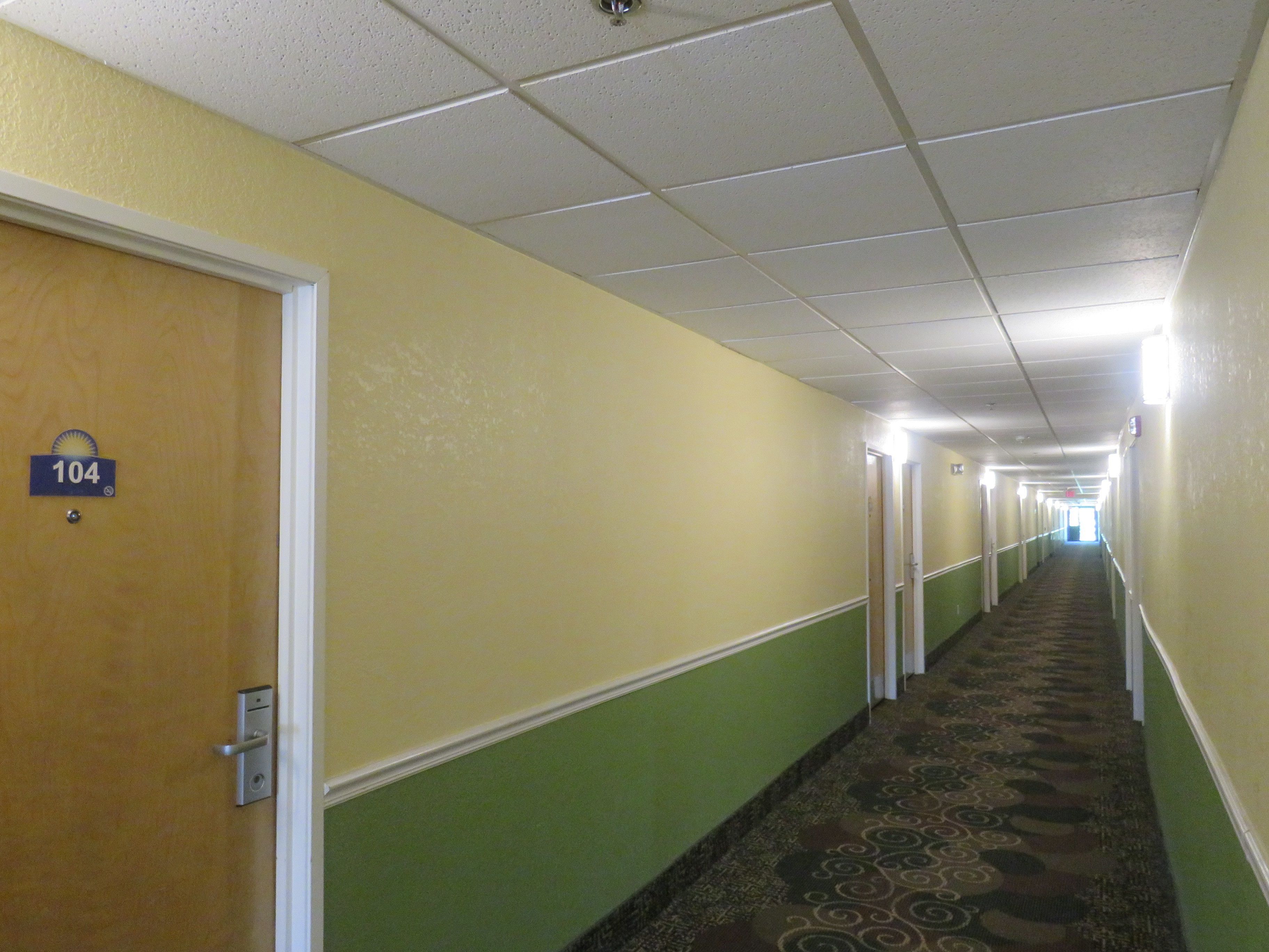 A hotel corridor with a carpeted floor, green walls, and a ceiling with recessed lighting.