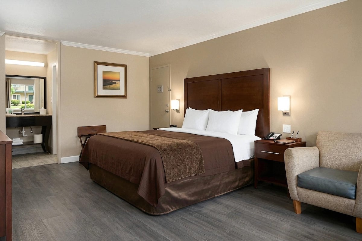 A hotel room with a large bed, a desk with a chair, a bedside table with a lamp, and a view of the outside.