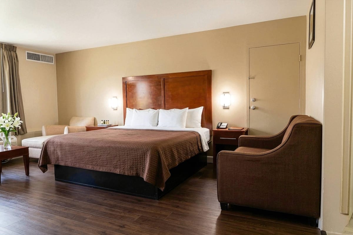 A hotel room with a large bed, a bedside table, a chair, a desk, and a lamp.
