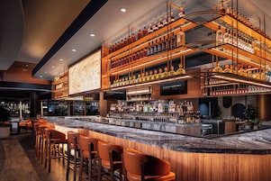 6 bar/dinlenme salonu, havuz kenarı barı