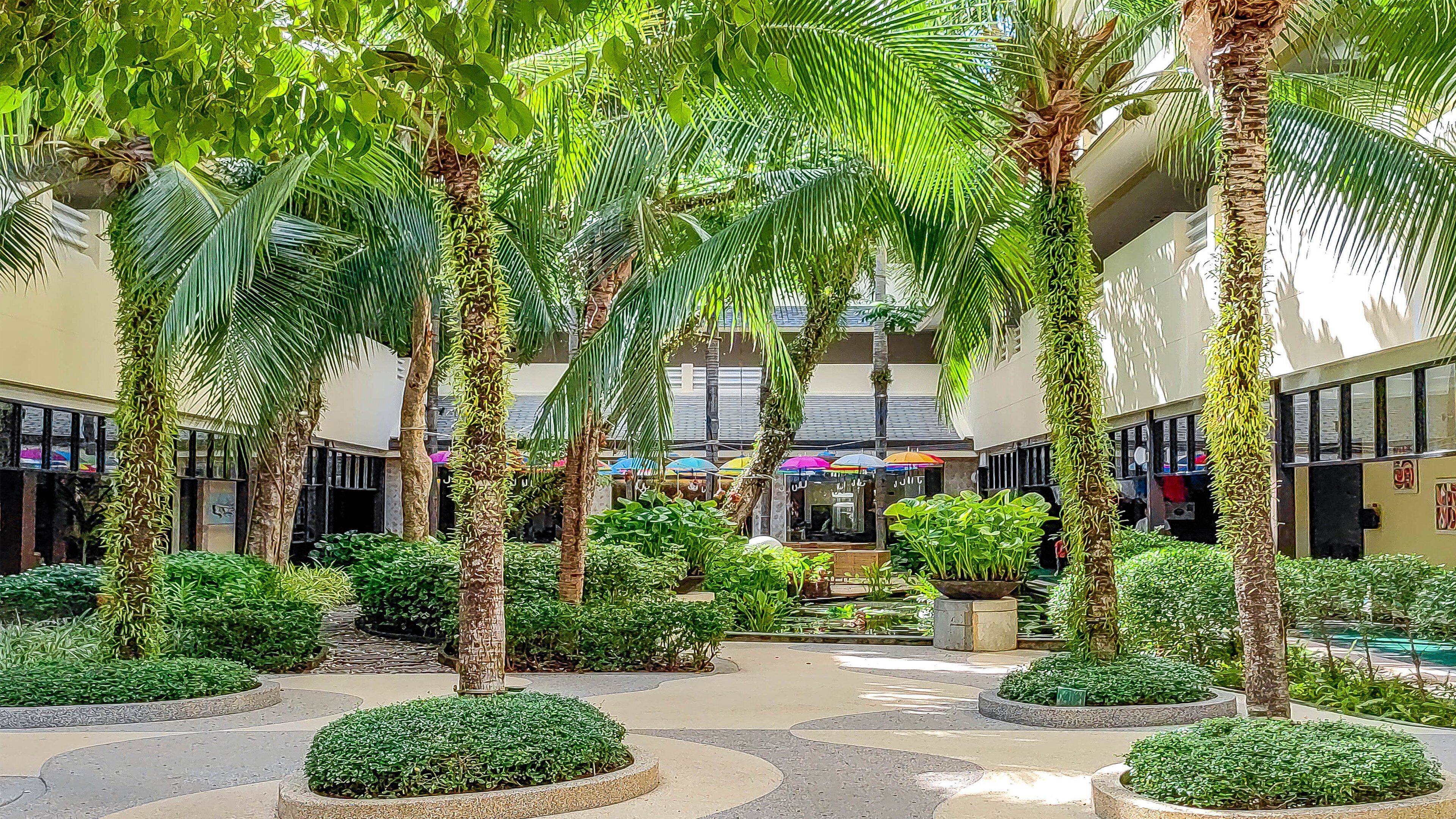 A courtyard with palm trees, a central fountain, and a covered seating area.
