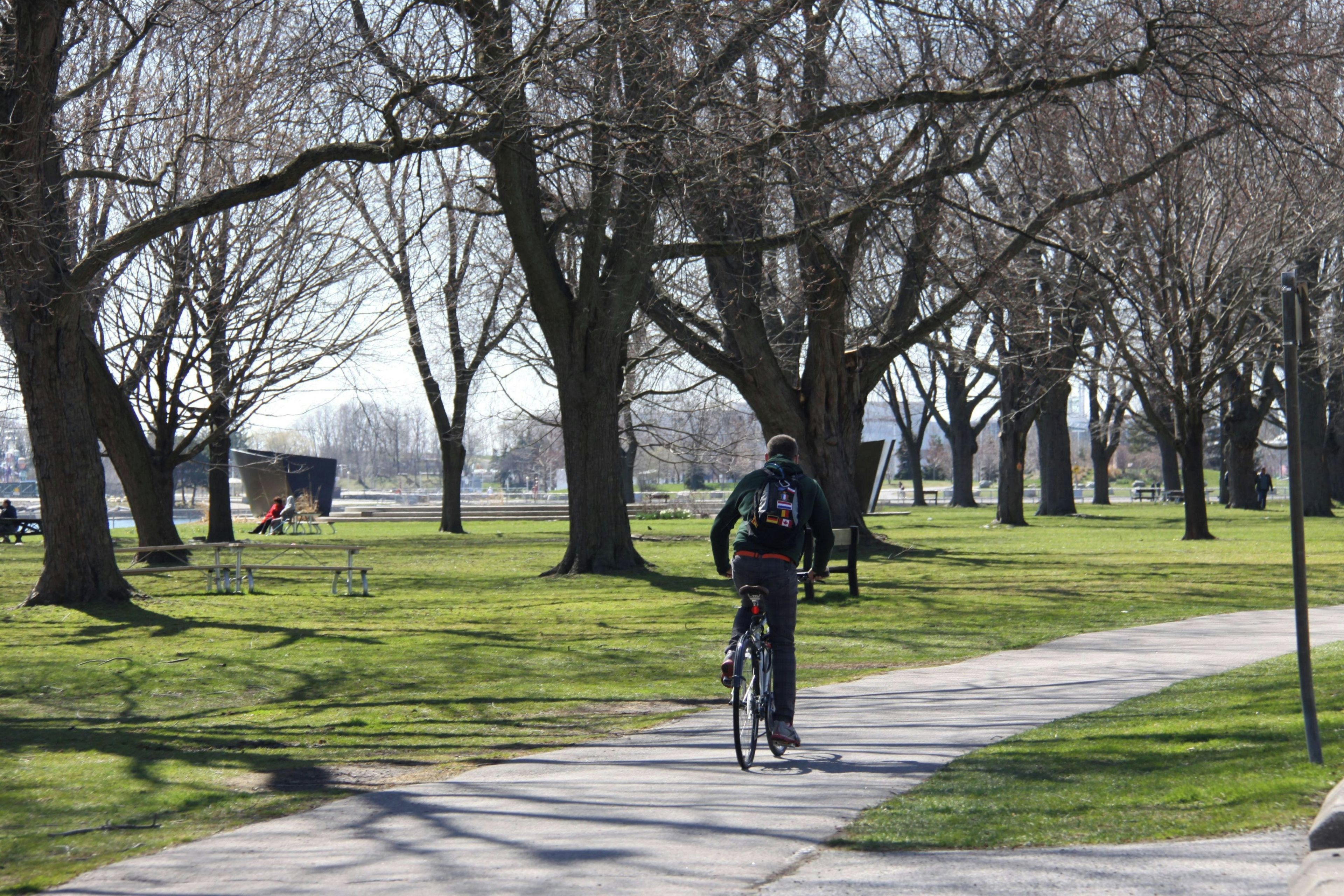 Un parque con un sendero pavimentado, árboles y un ciclista.