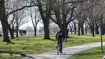 Un parque con un sendero pavimentado, árboles y un ciclista.