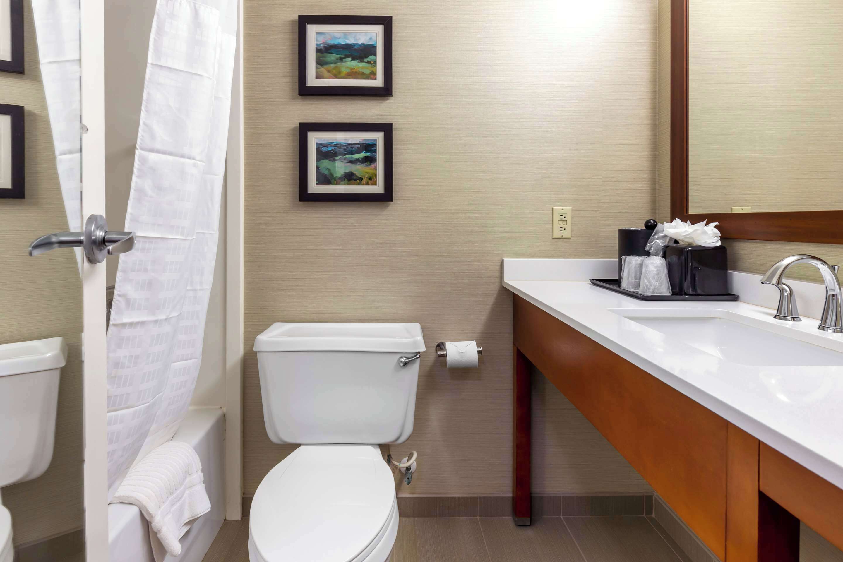 A modern bathroom with a toilet, sink, and shower curtain. There are two framed pictures on the wall.