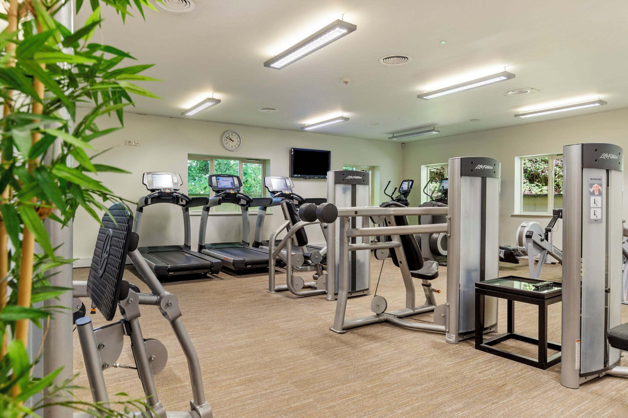 A gym with treadmills, weight machines, and a mirror.