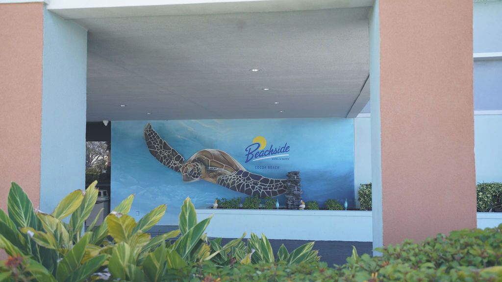 Une fresque représentant une tortue de mer sur la façade d’un immeuble, avec les inscriptions « Beachside » et « Color Beach ».