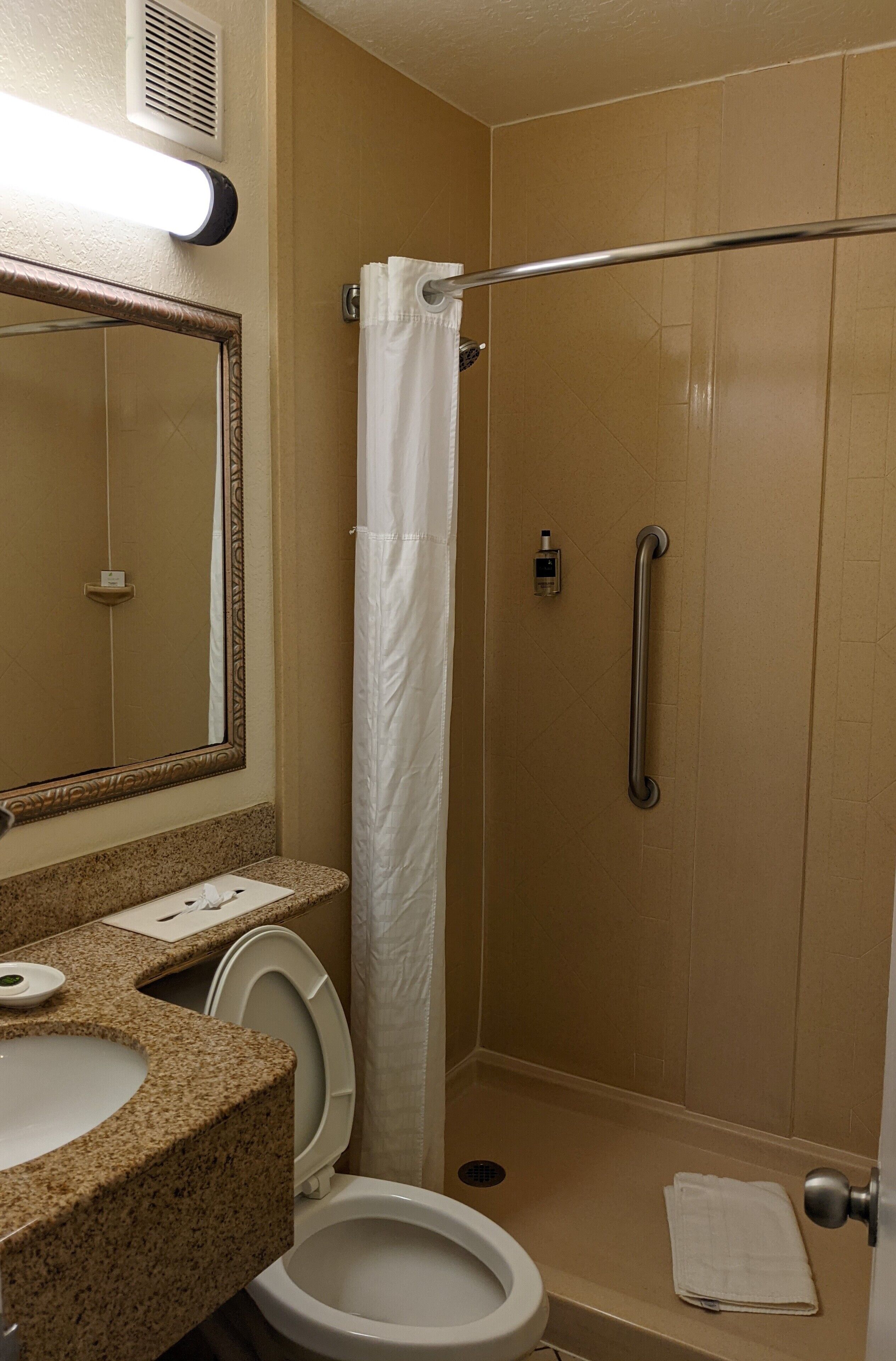 Baño con inodoro, lavabo, espejo, ducha y barra de apoyo.