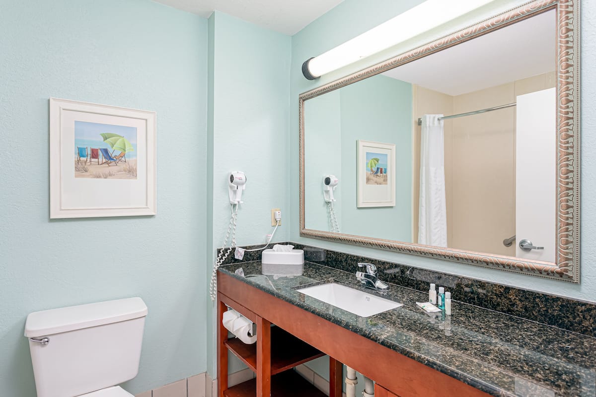 eco-friendly toiletries, hair dryer, towels