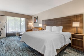 Iron/ironing board, free WiFi, bed sheets - Quality Inn Mount Airy Mayberry (Mount Airy)