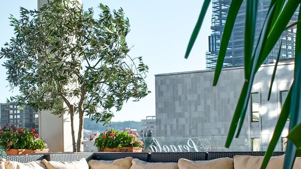 Une terrasse sur le toit aménagée avec un ensemble de canapés, une table basse et une plante en pot.