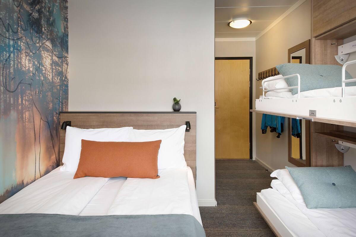 Una habitación de hotel con una cama individual, una cama litera, una planta pequeña y un espejo.