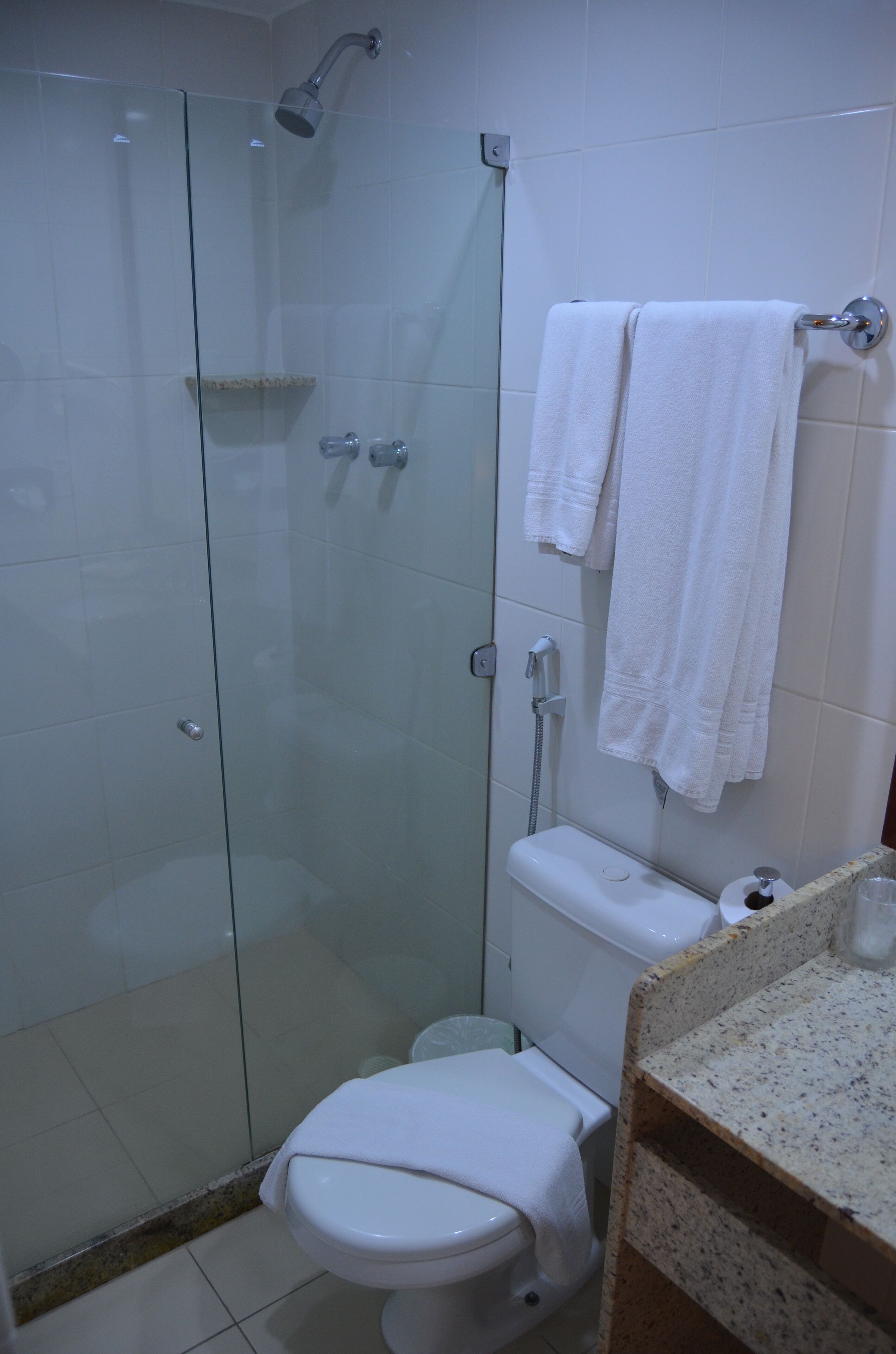 Un baño con ducha de vidrio, inodoro y lavamanos con perchero para toallas.