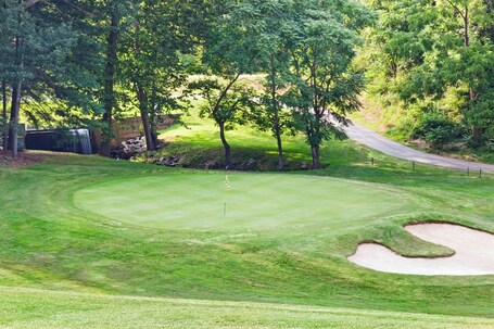 Crowne Plaza Resort Asheville, an IHG Hotel - Image 11