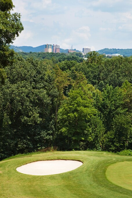 Crowne Plaza Resort Asheville, an IHG Hotel - Image 21