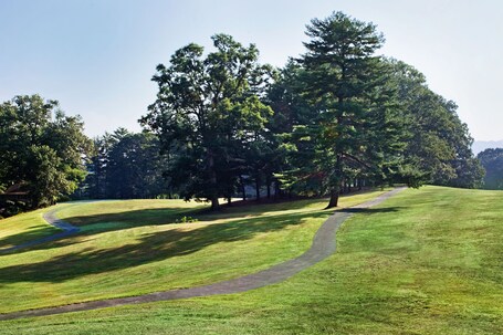 Crowne Plaza Resort Asheville, an IHG Hotel - Image 12
