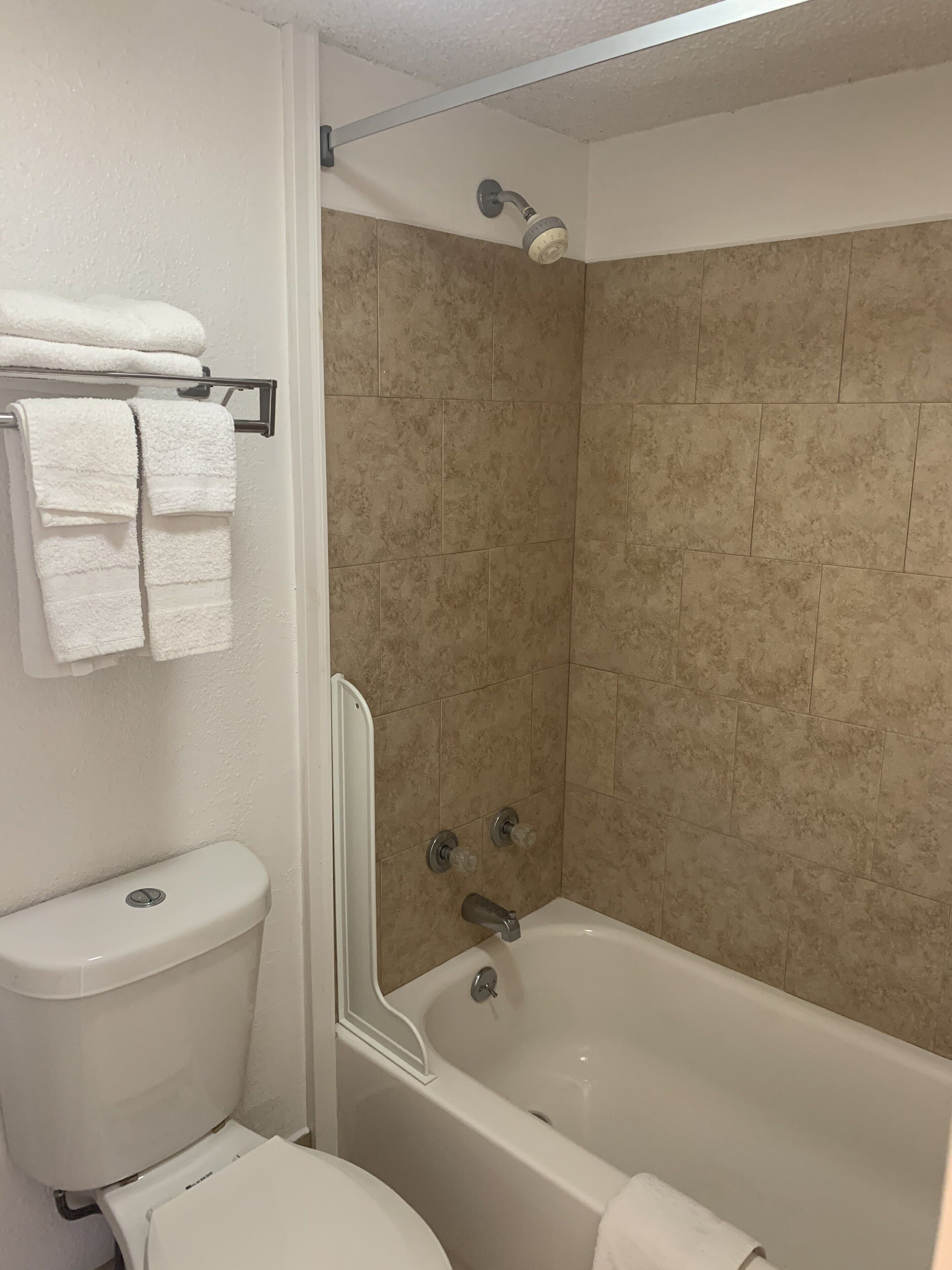 A bathroom with a toilet, a bathtub, and a shower.
