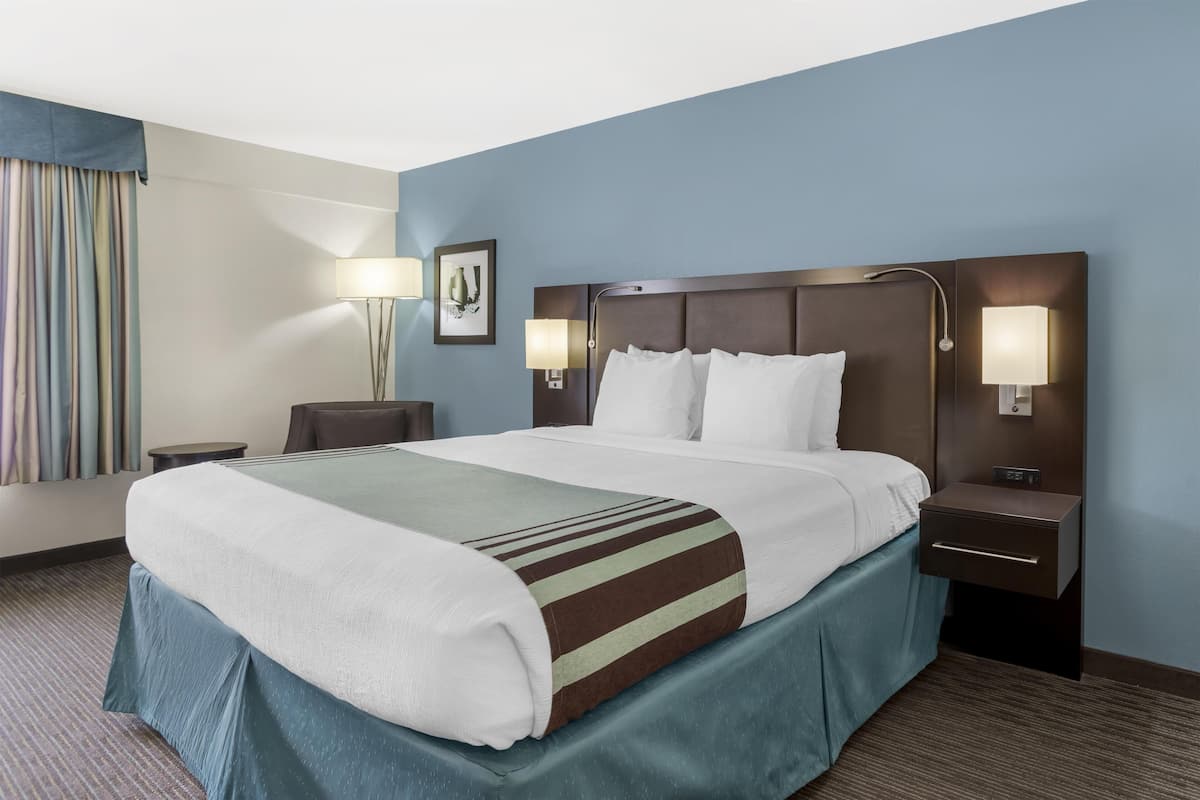 Standard Room, 1 King Bed, Non Smoking, Refrigerator & Microwave