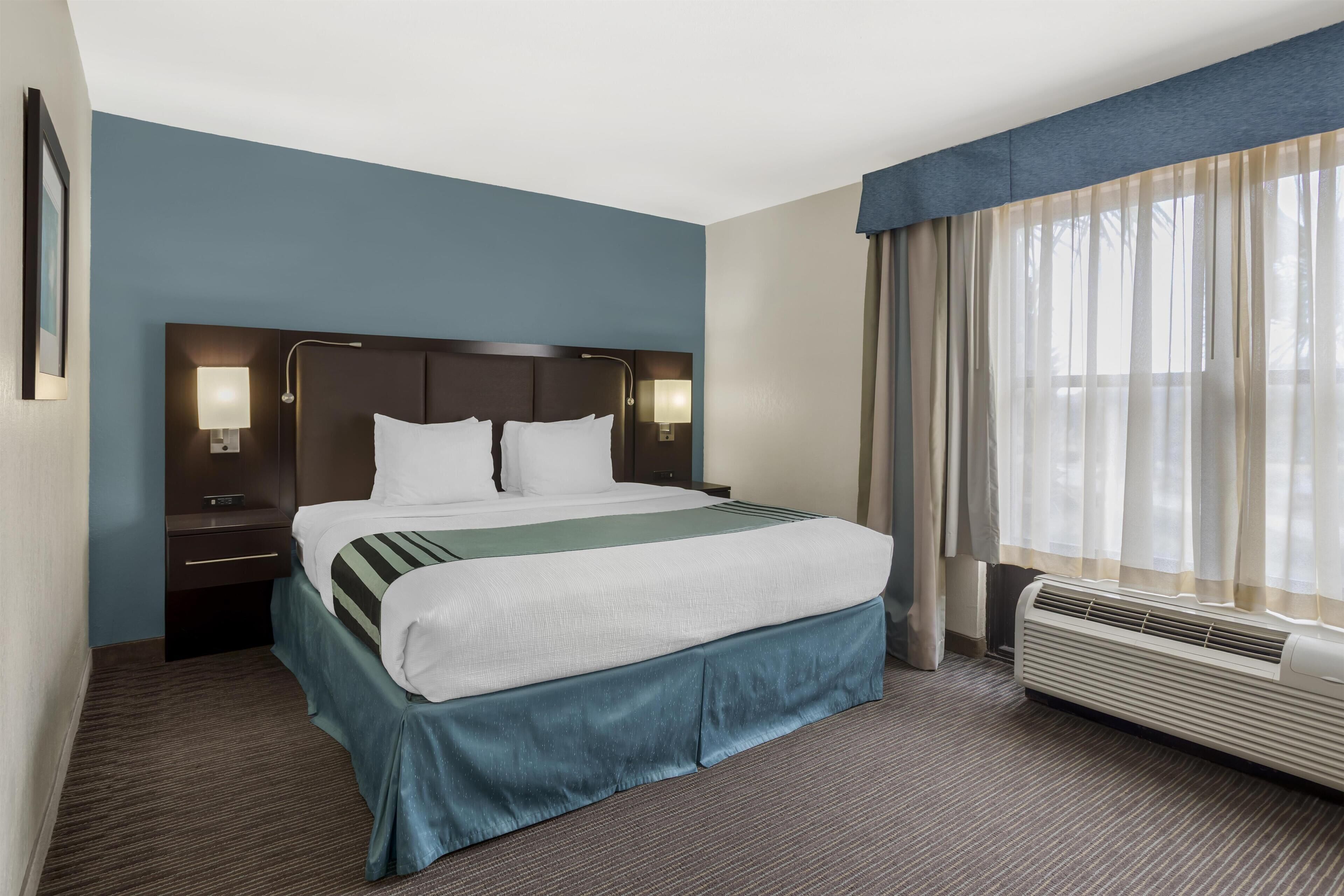 Room, 1 King Bed, Non Smoking, Refrigerator & Microwave