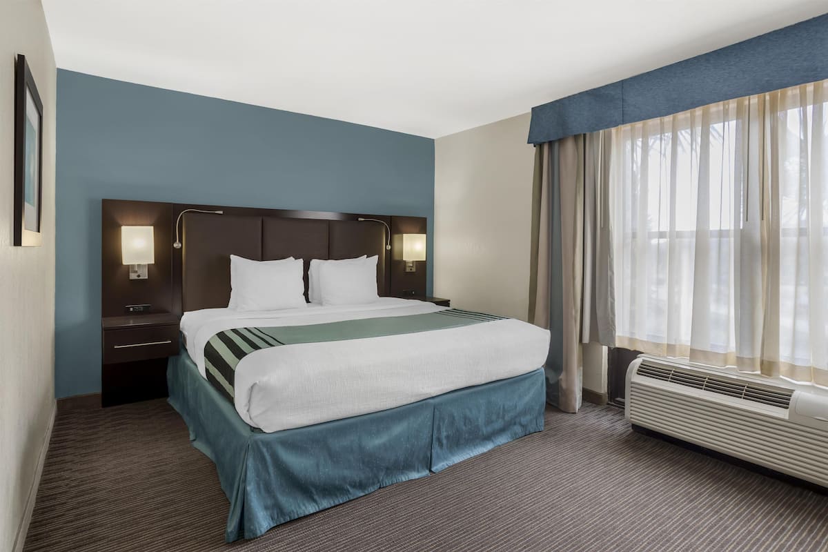 Room, 1 King Bed, Non Smoking, Refrigerator & Microwave