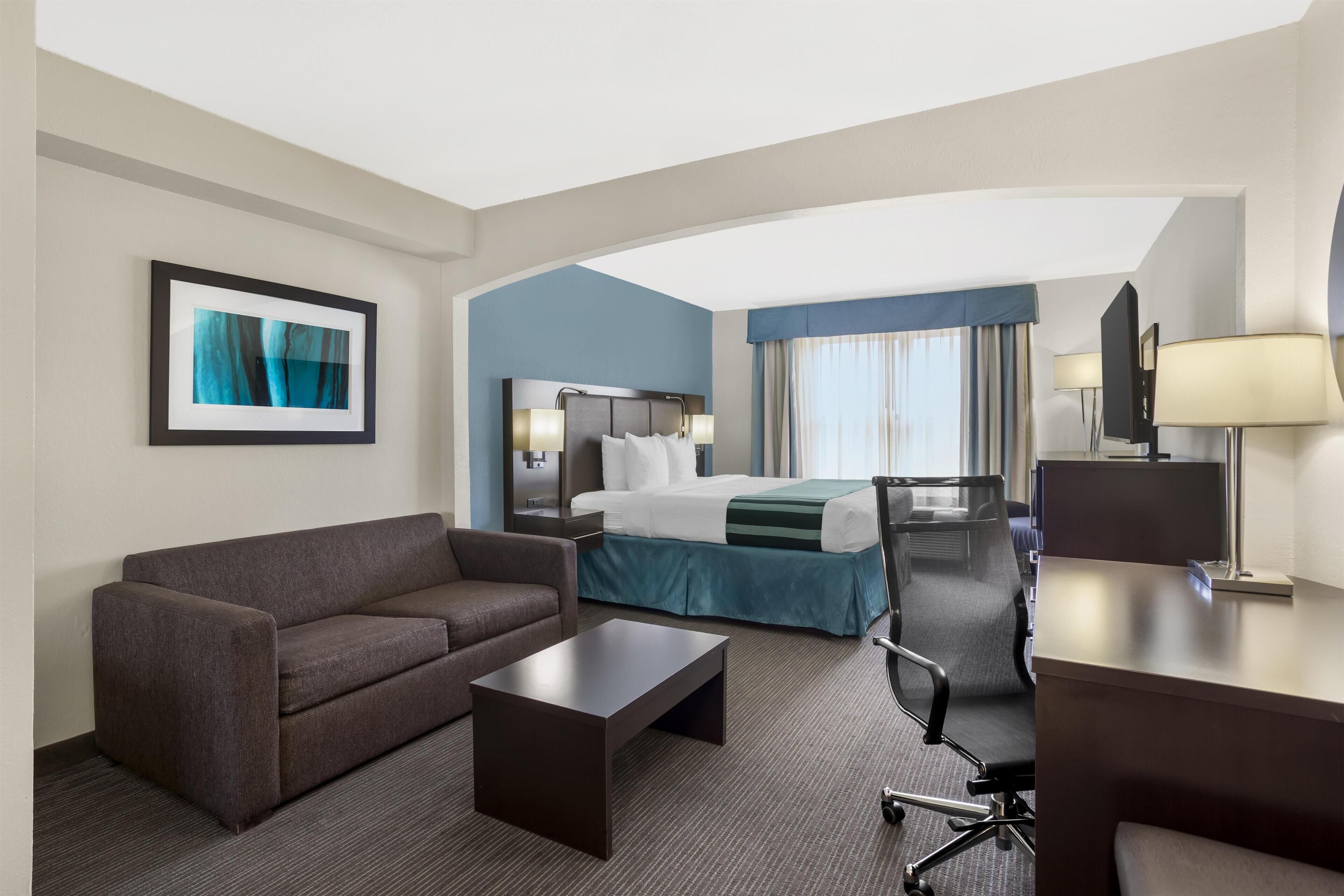 Suite, 1 King Bed, Non Smoking, Refrigerator & Microwave (with Sofabed)