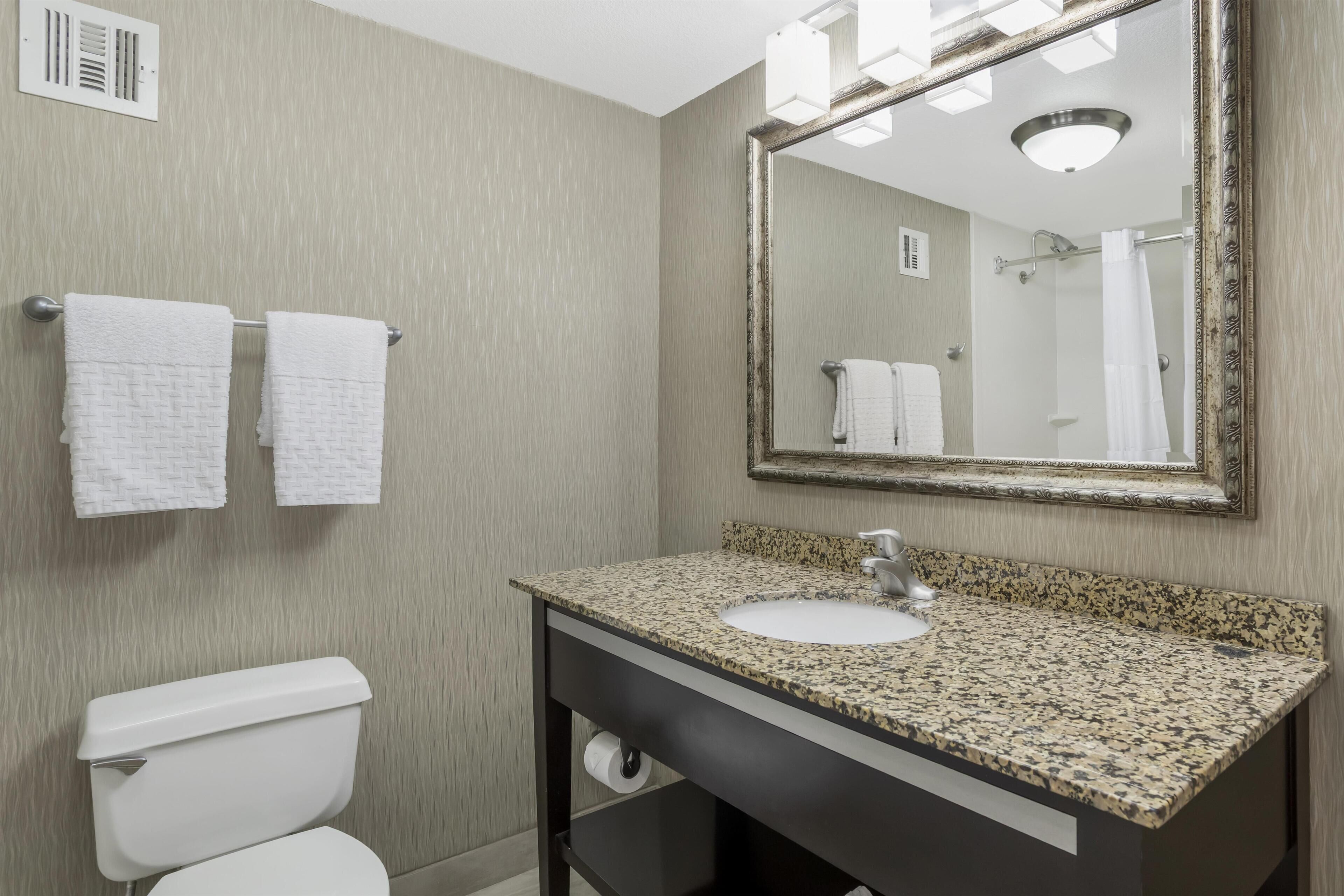 Une salle de bain avec un lavabo à vasque en granit, des toilettes blanches et un grand miroir doté d’un cadre décoratif.