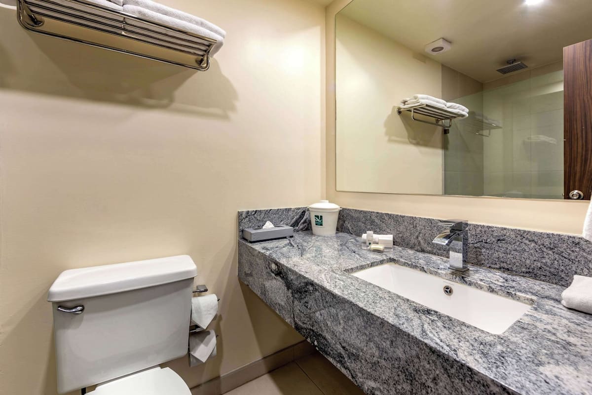 Standard 2 Queens Non Smoking | Bathroom | Shower, hair dryer, towels