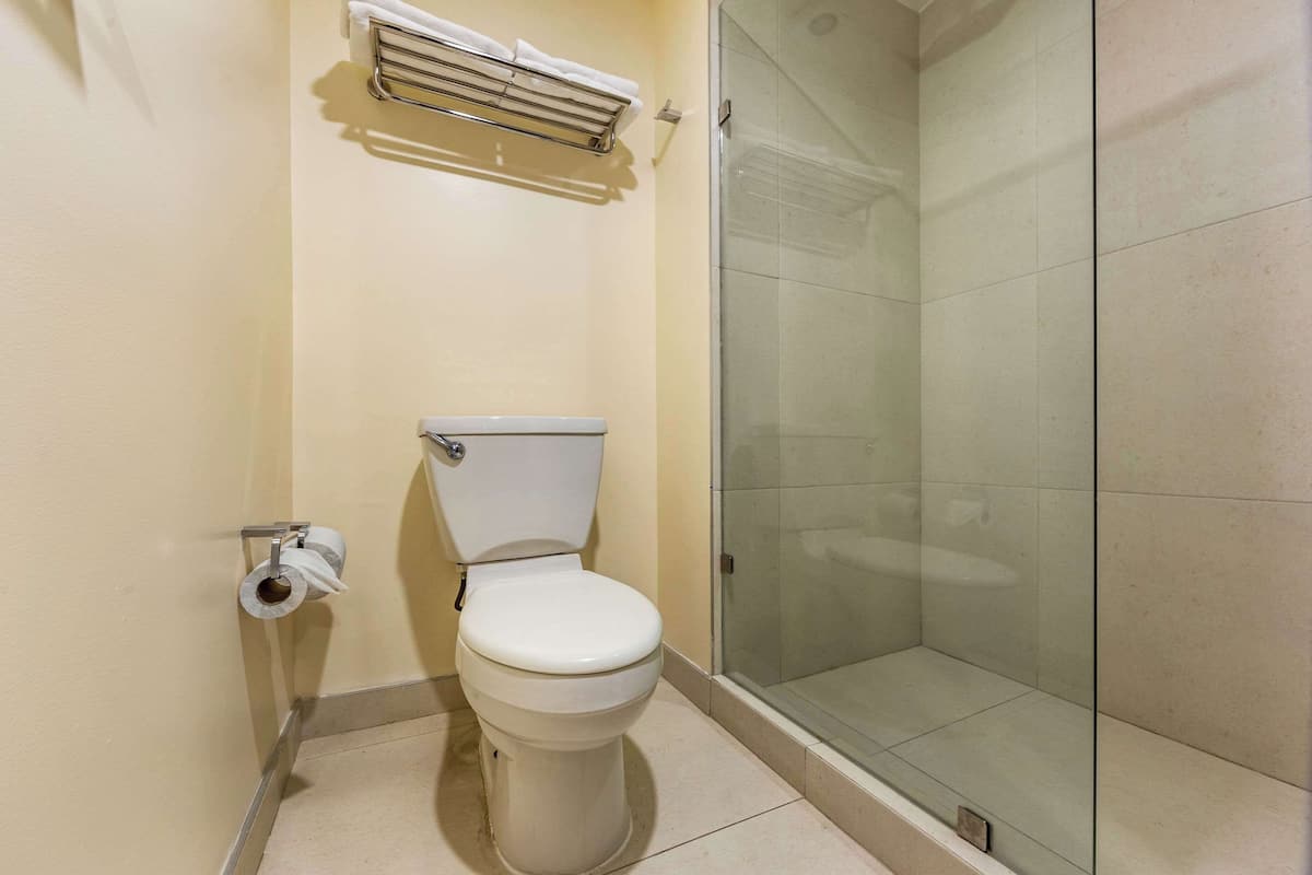 Standard Room, 1 King Bed, Non Smoking | Bathroom | Shower, hair dryer, towels