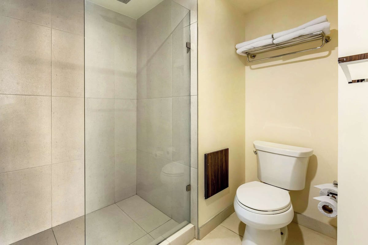 Standard Double Room, Non Smoking | Bathroom | Shower, hair dryer, towels