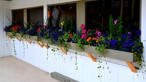 A white exterior wall with a row of windows and hanging flower planters. - White Buffalo (West Yellowstone)