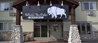 White Buffalo