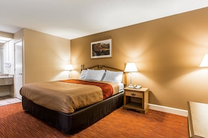 A hotel room with a large bed, two bedside lamps, a nightstand, and a framed picture on the wall.