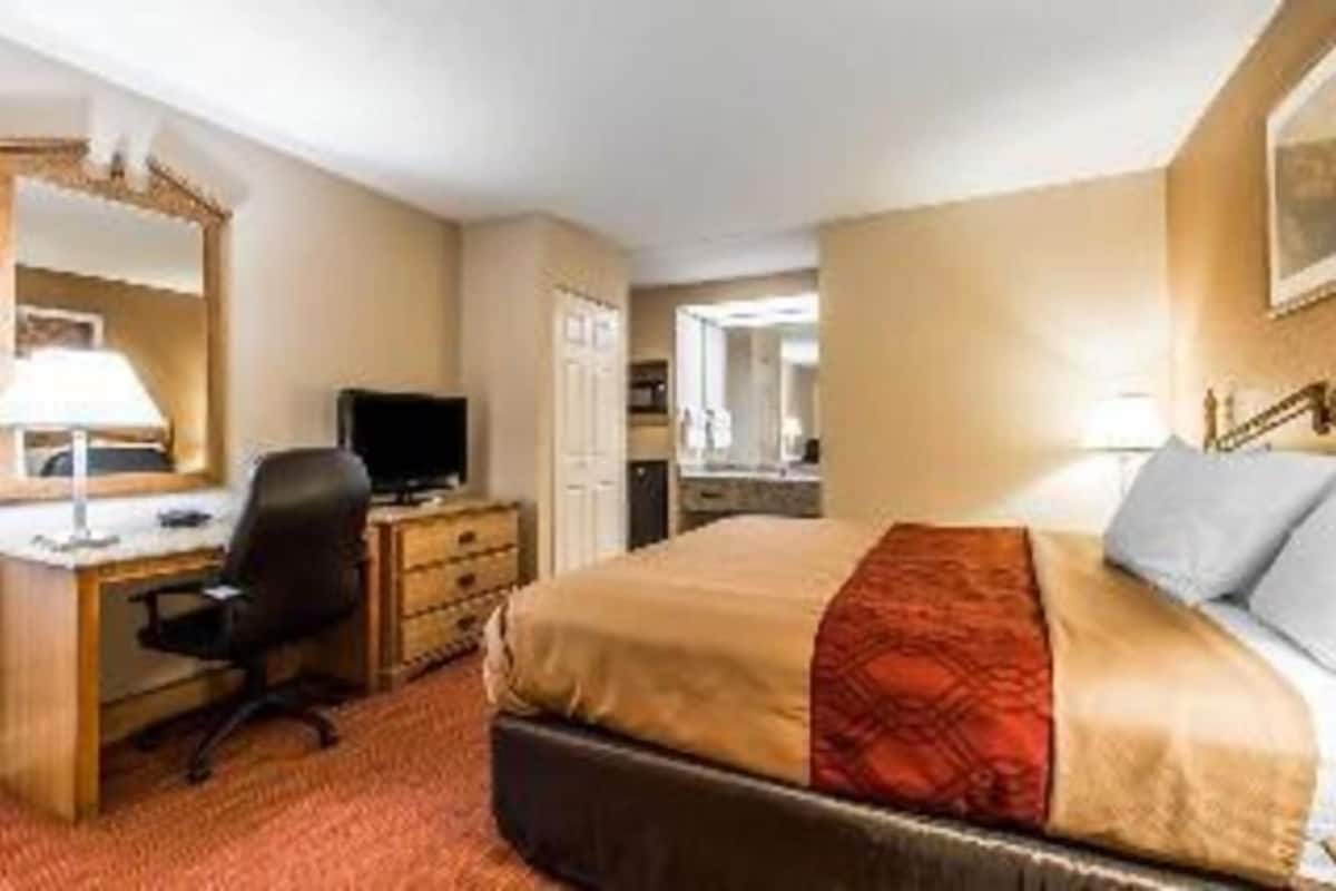 A hotel room with a bed, a desk with a chair, a television, and a mirror.