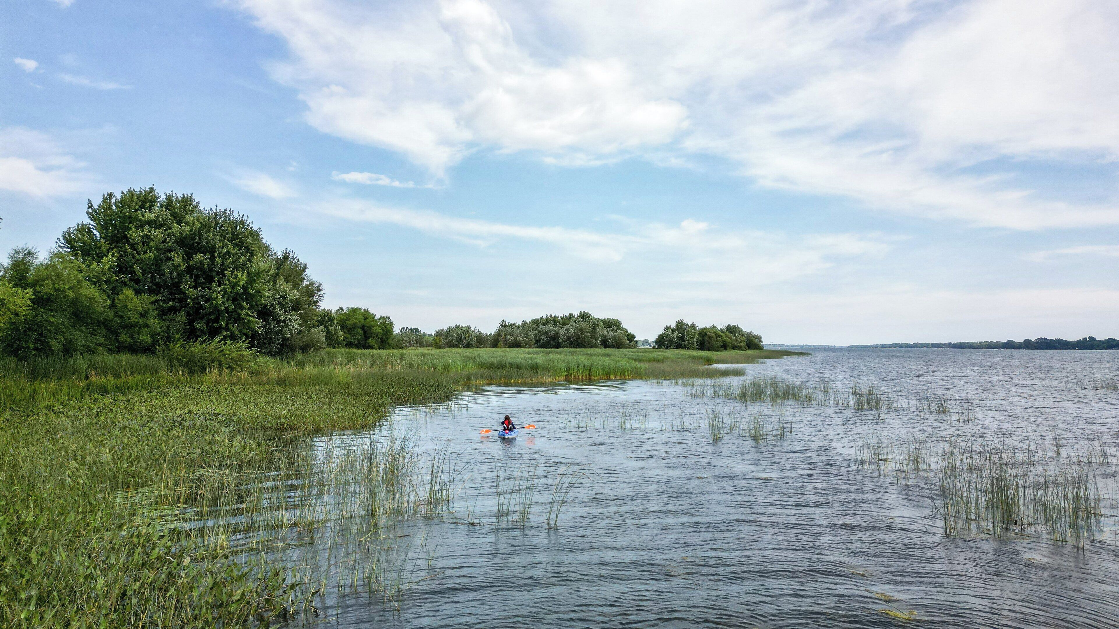A calm water body with a person kayaking, surrounded by dense greenery and trees.