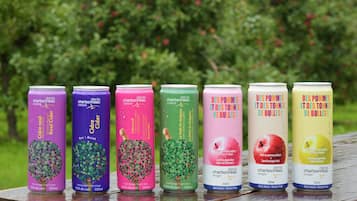 Seven cans of sparkling apple cider in various colors, each with a different label, placed on a wooden surface outdoors with a blurred green background.