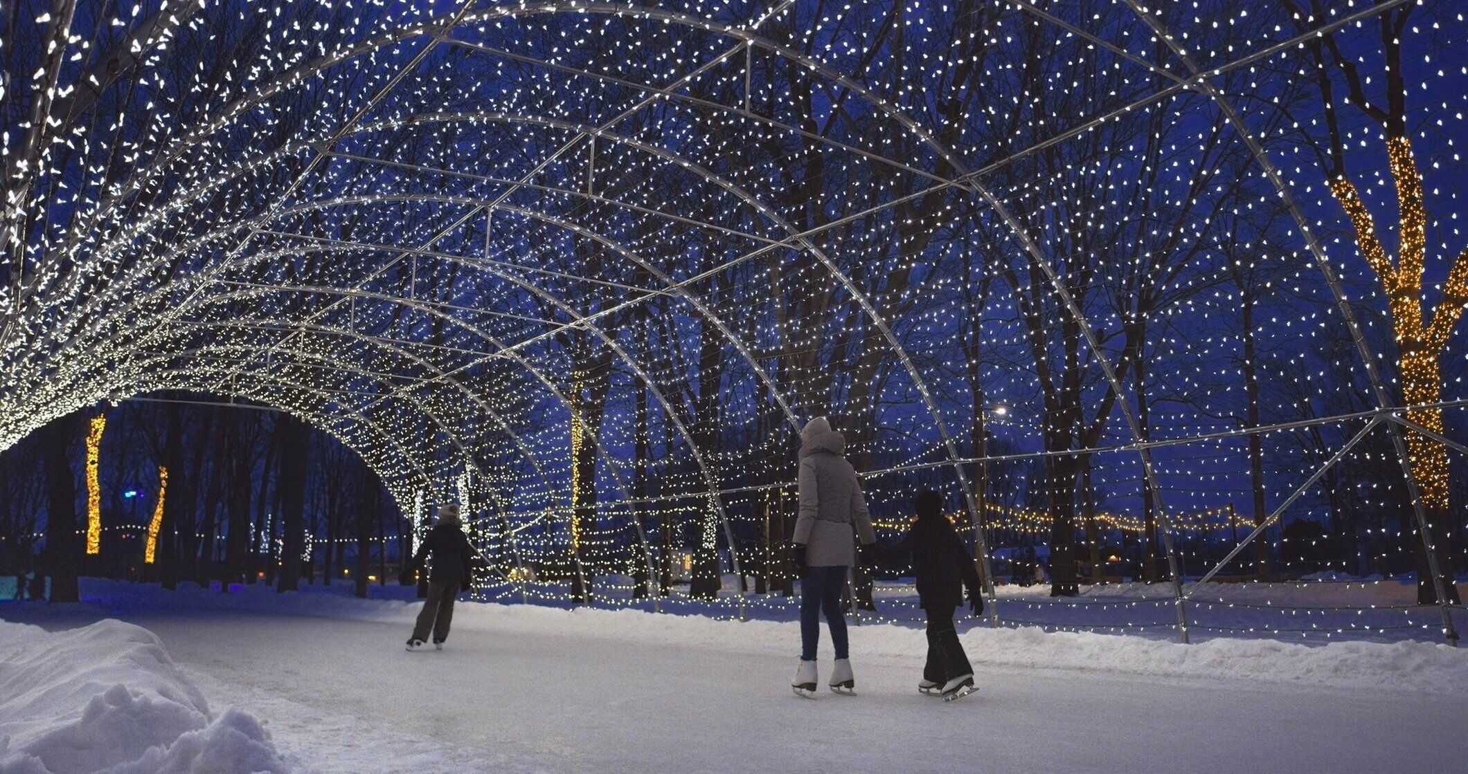 An outdoor ice skating area with a tunnel of lights and snow.