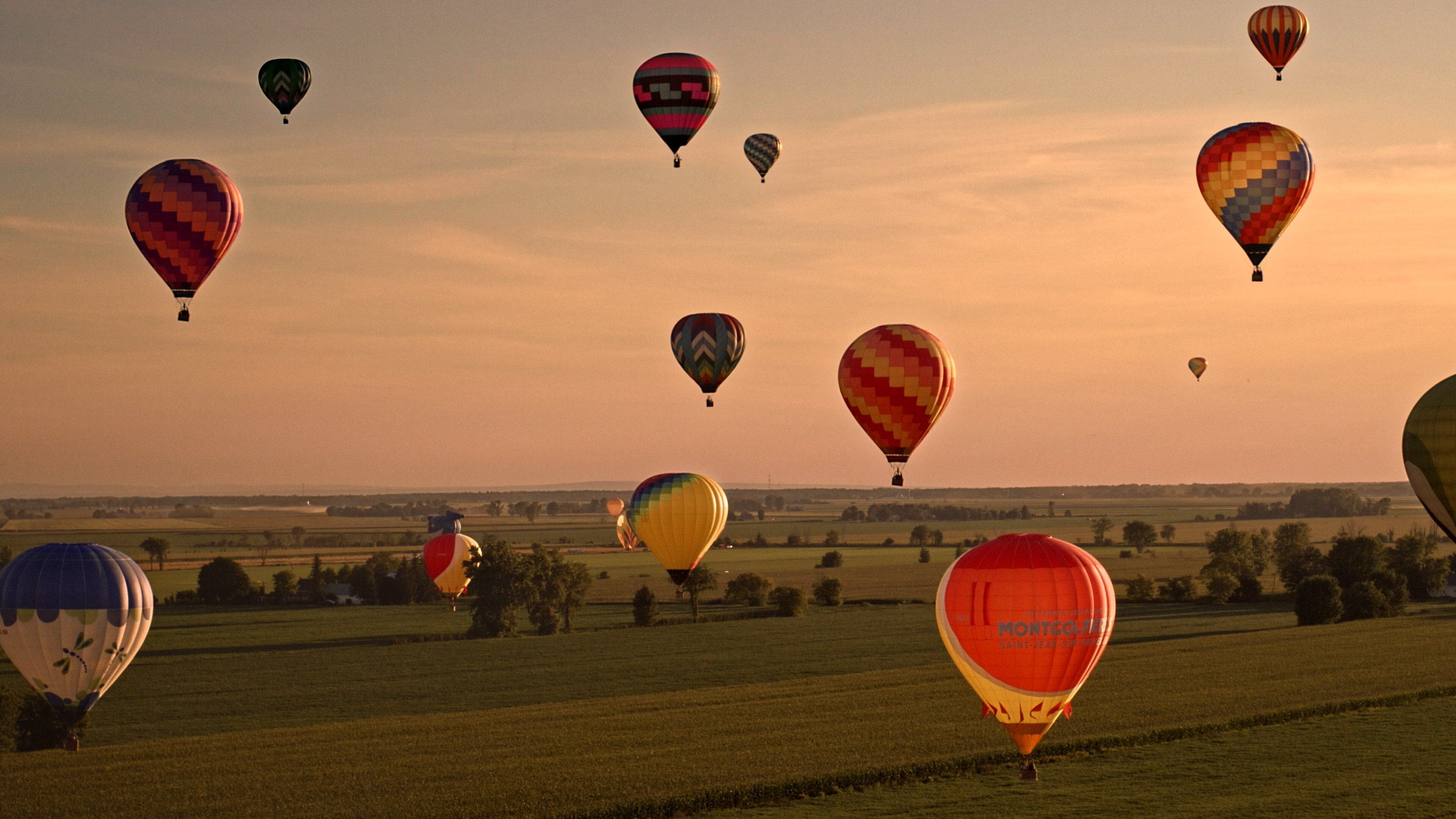 A field with multiple hot air balloons in the sky.