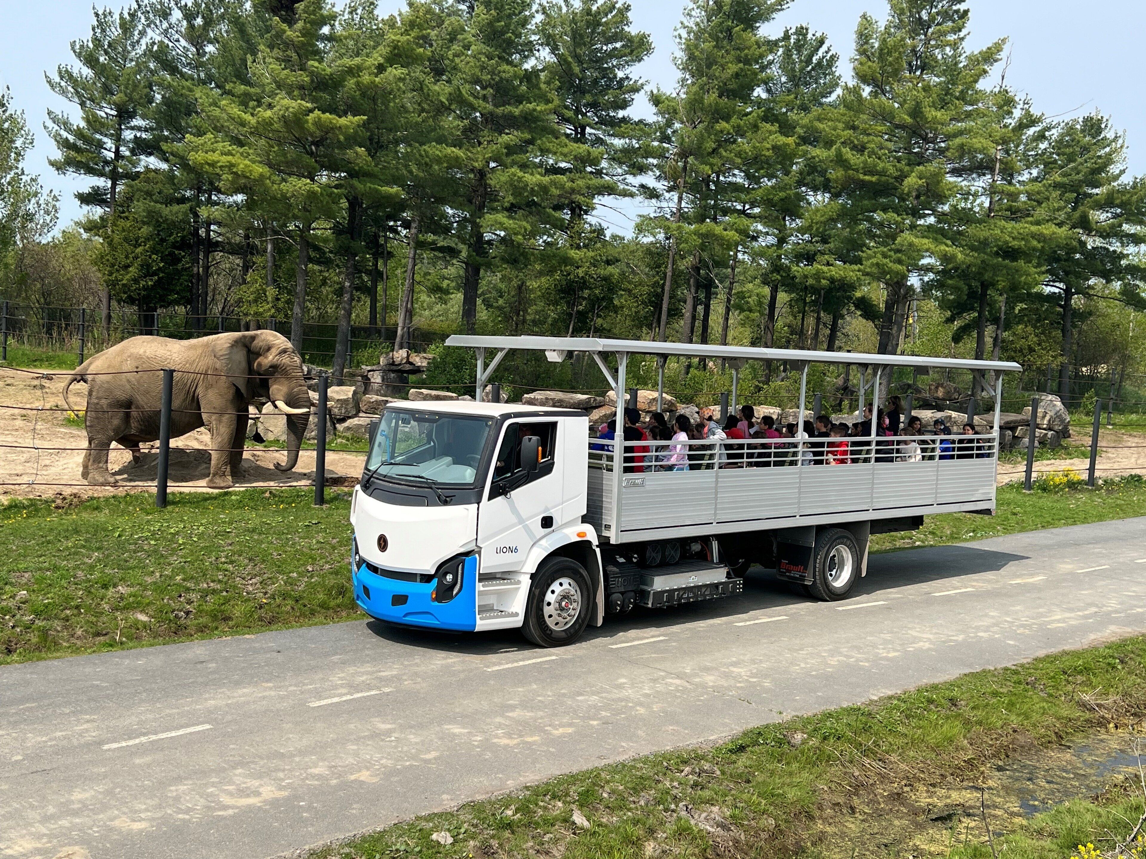 Un autobus turistico con passeggeri parcheggiato vicino all'area di un giardino zoologico, dove si vede un elefante.