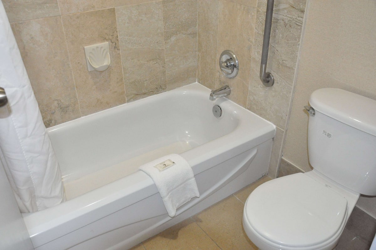 combined shower/bathtub, free toiletries, hair dryer, towels