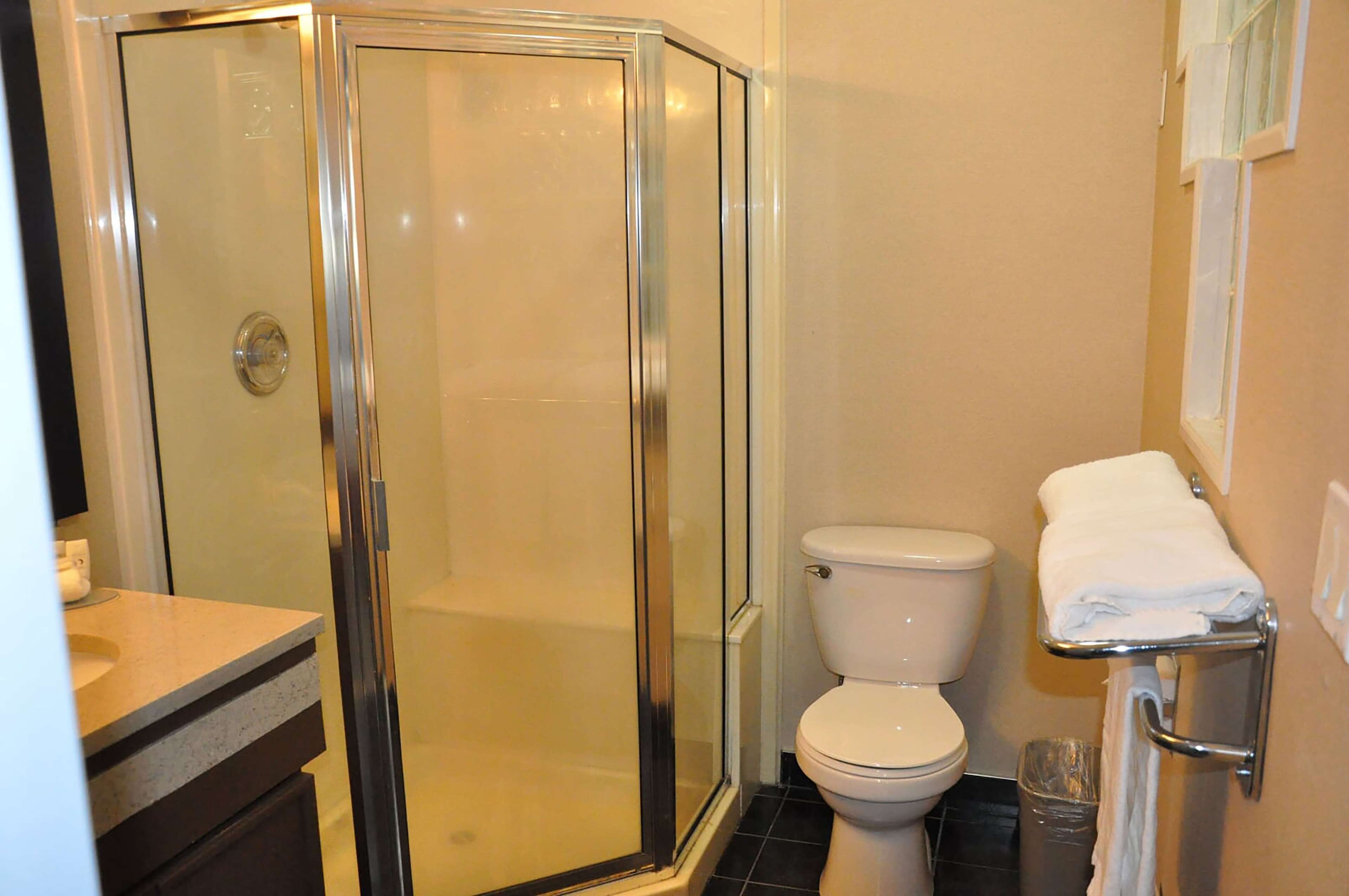combined shower/bathtub, free toiletries, hair dryer, towels