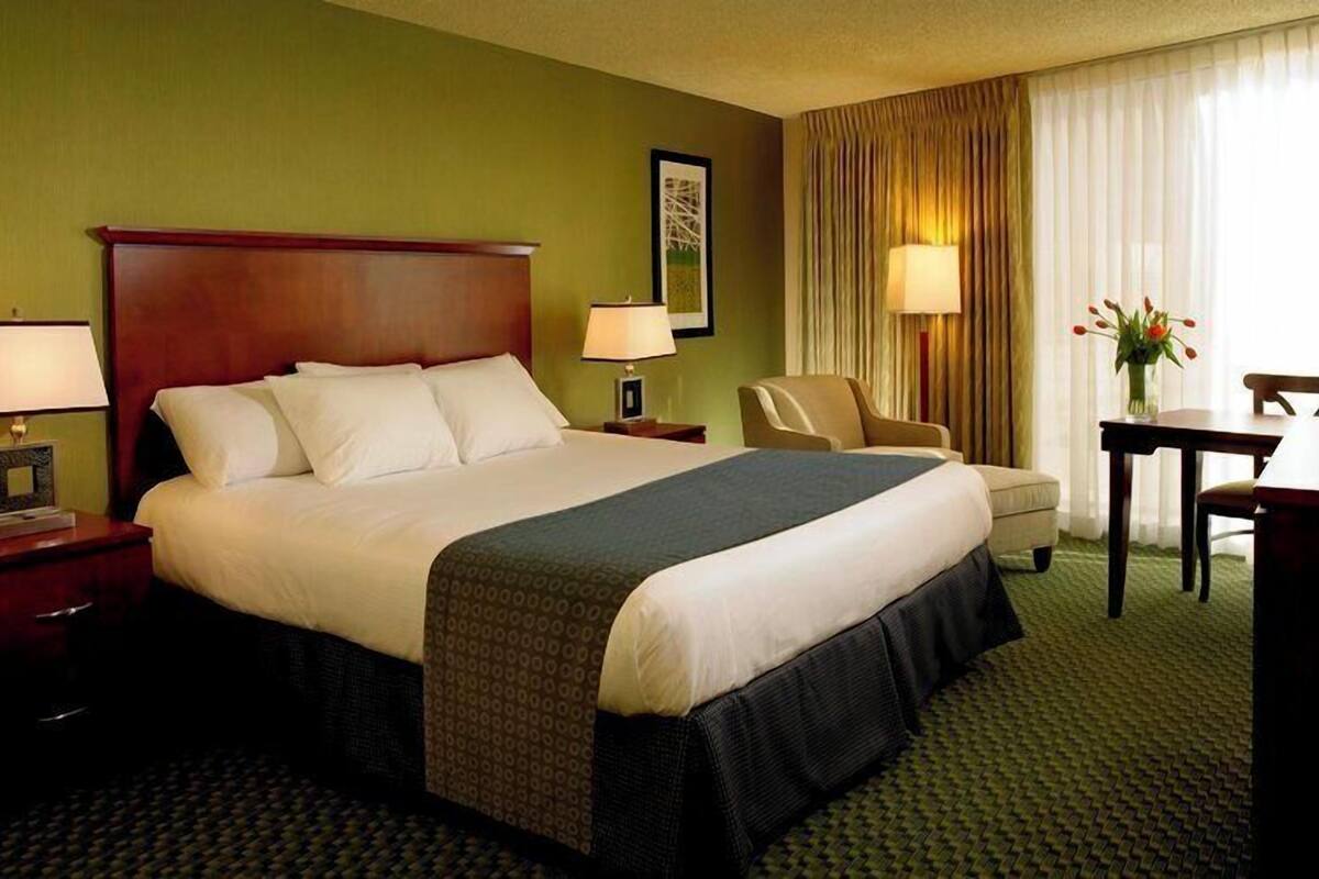 Luxury Room, 1 King Bed  | Schreibtisch, Bügeleisen/Bügelbrett, kostenloses WLAN, Bettwäsche