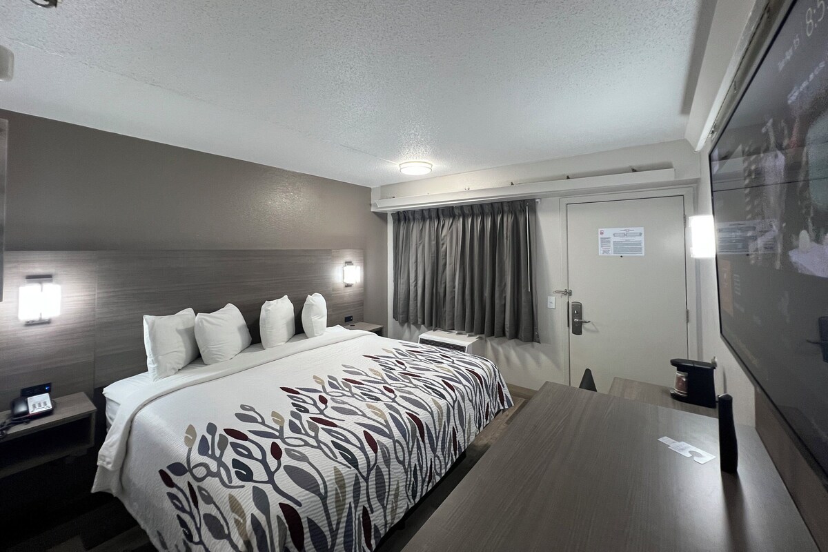A modern hotel room with a large bed, bedside tables, a desk, and a view of the outside.