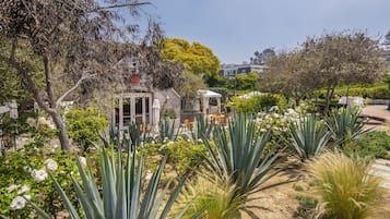 Jardín