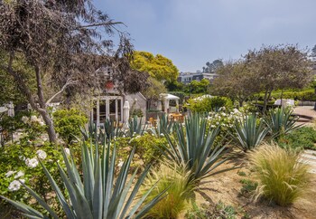 Garden at LAuberge Del Mar